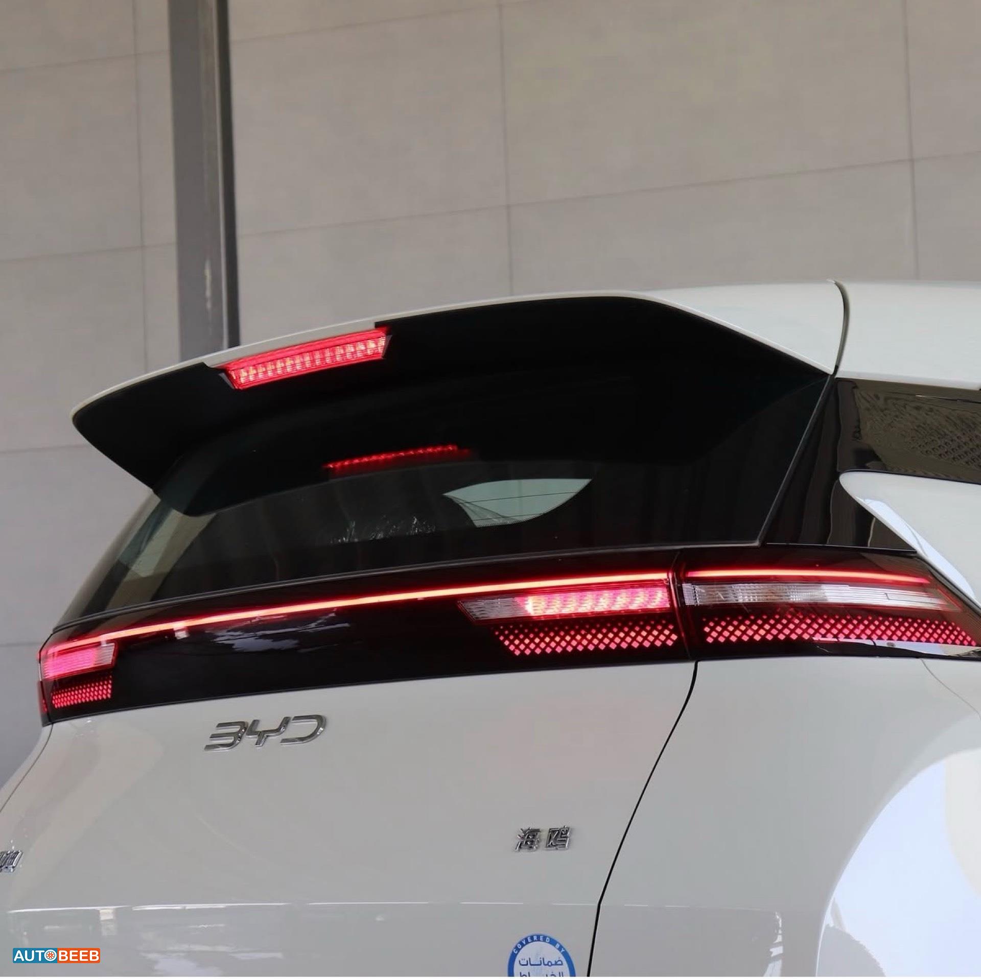 بي واي دي سيجول 2025