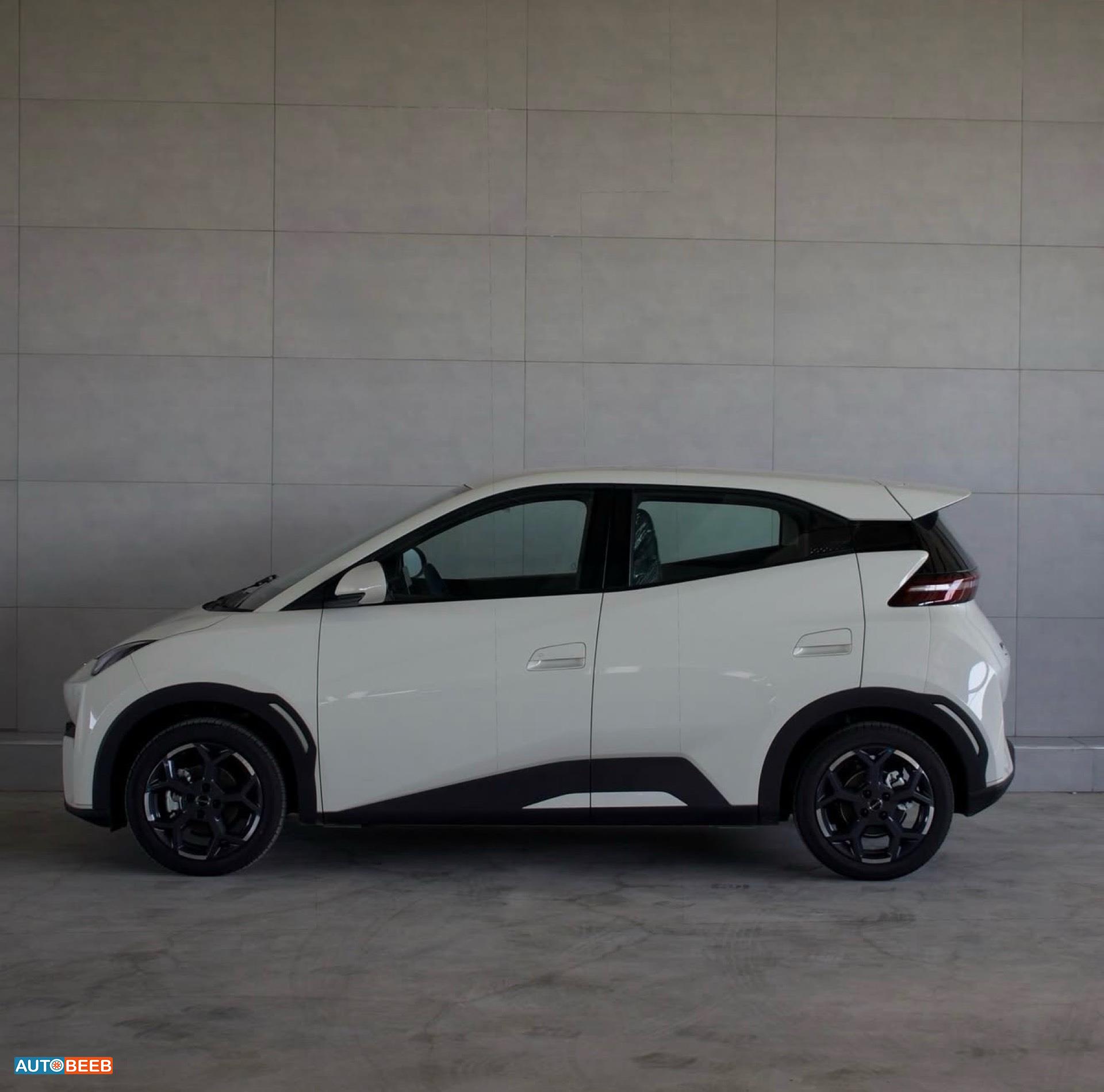 بي واي دي سيجول 2025