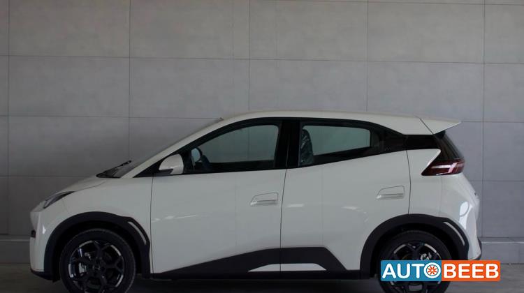 بي واي دي سيجول 2025