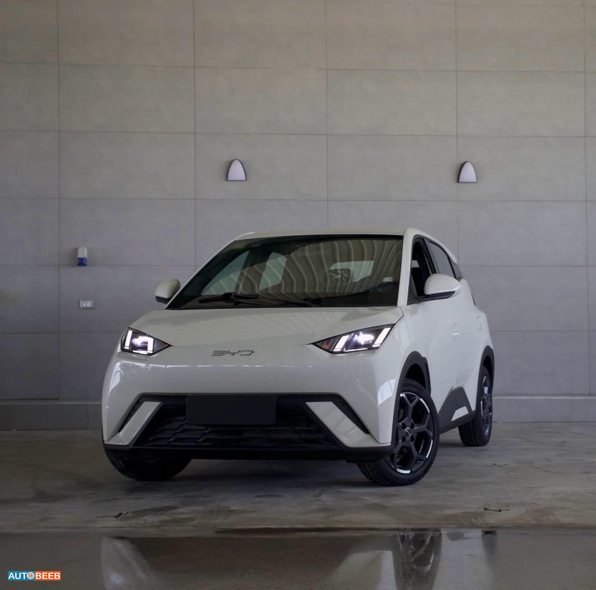 بي واي دي سيجول 2025