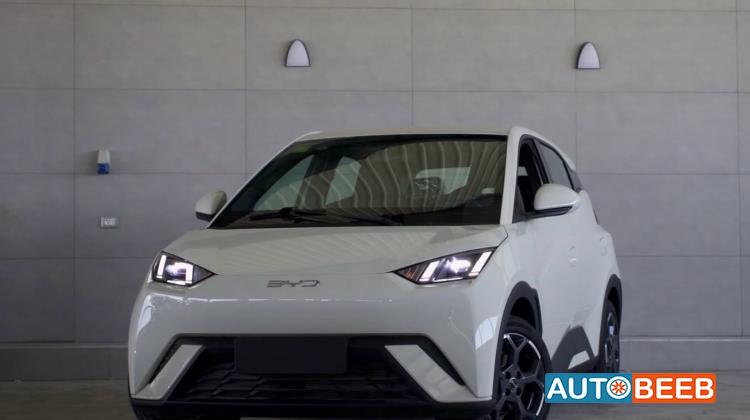 بي واي دي سيجول 2025