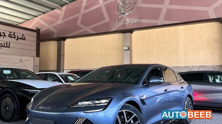 بي واي دي سيل 2022