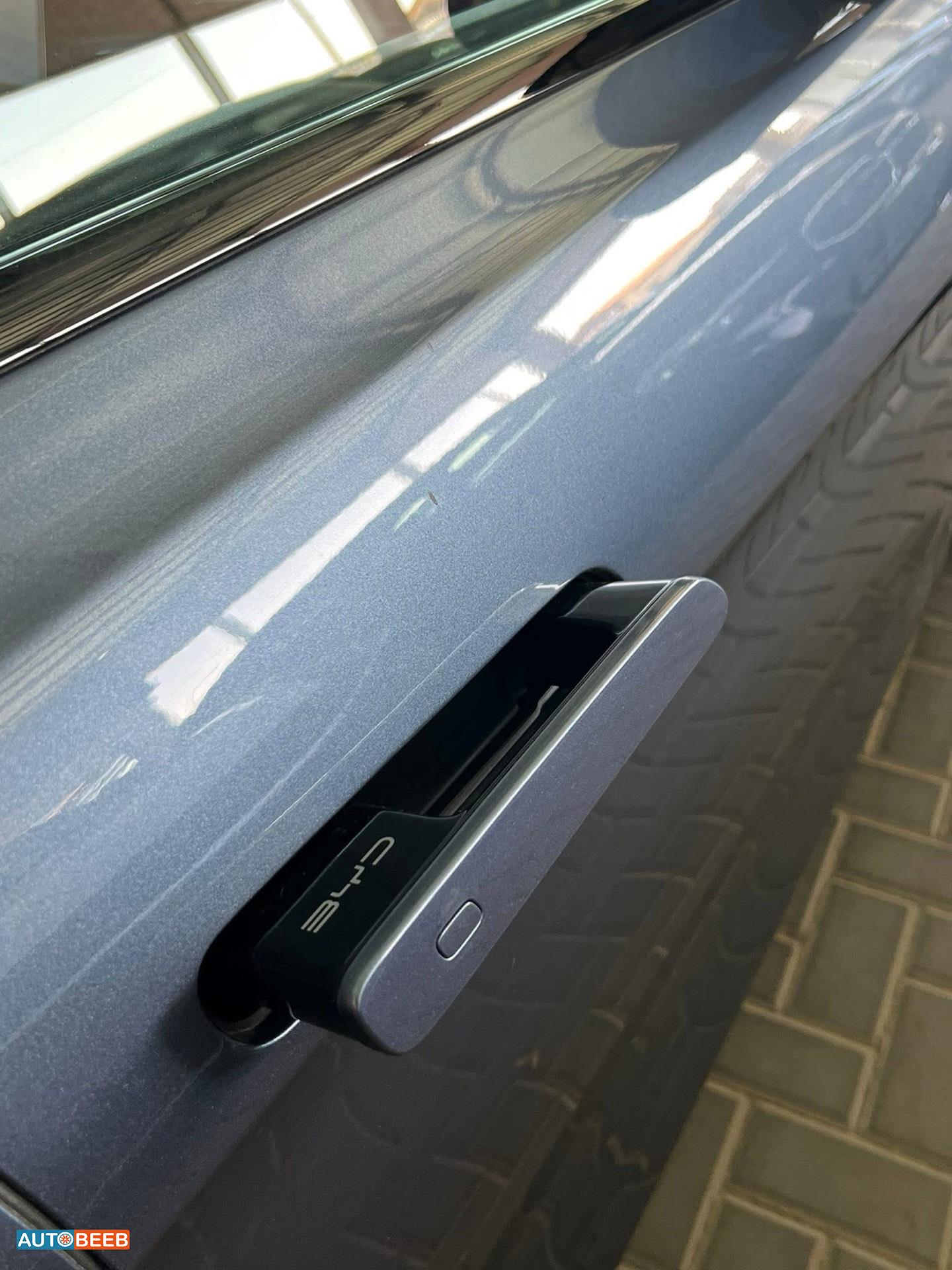 بي واي دي سيل 2022