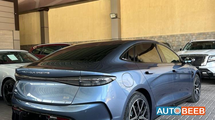 بي واي دي سيل 2022