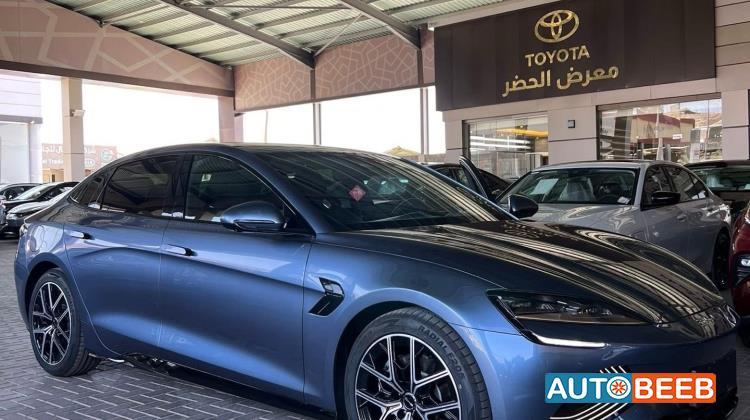 بي واي دي سيل 2022