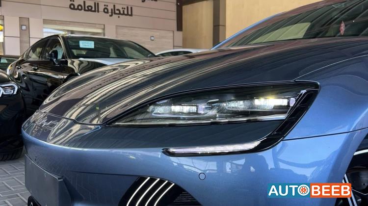 بي واي دي سيل 2022