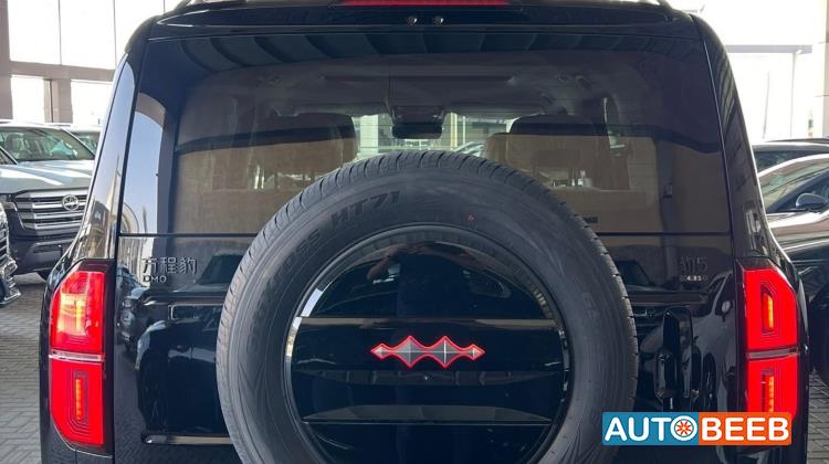 بي واي دي ليوبارد 5 2024