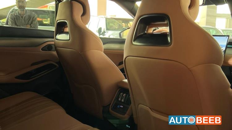 بي واي دي سونج ل 2023