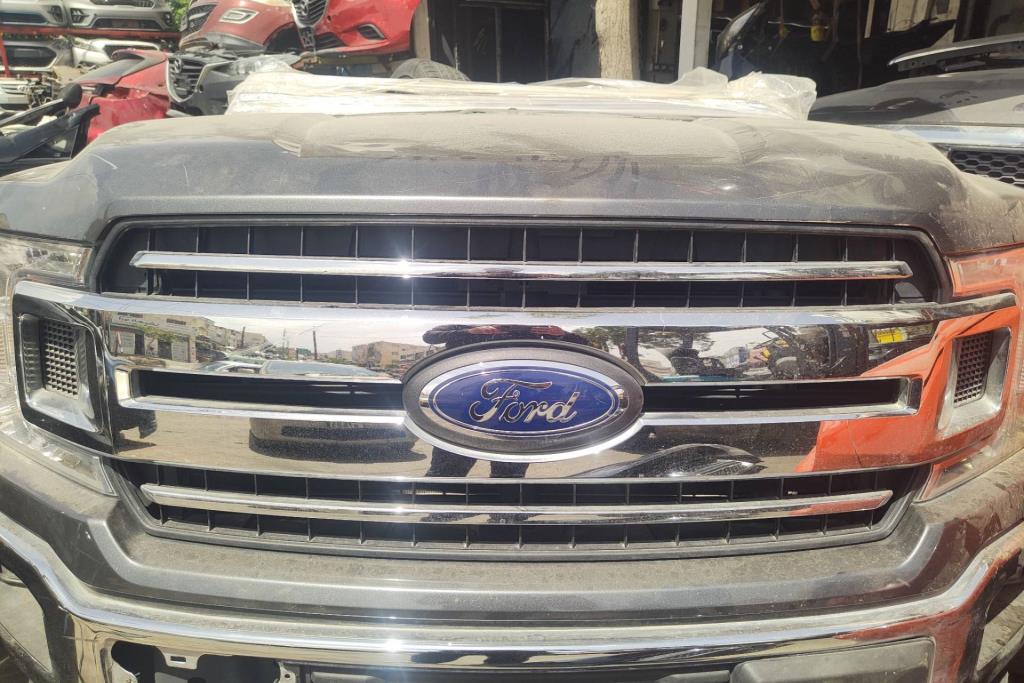 Body  Grilles Ford F-150