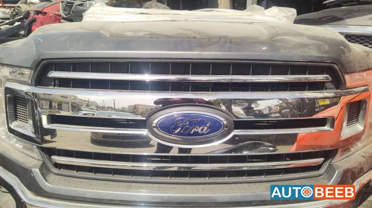 Body  Grilles Ford F-150