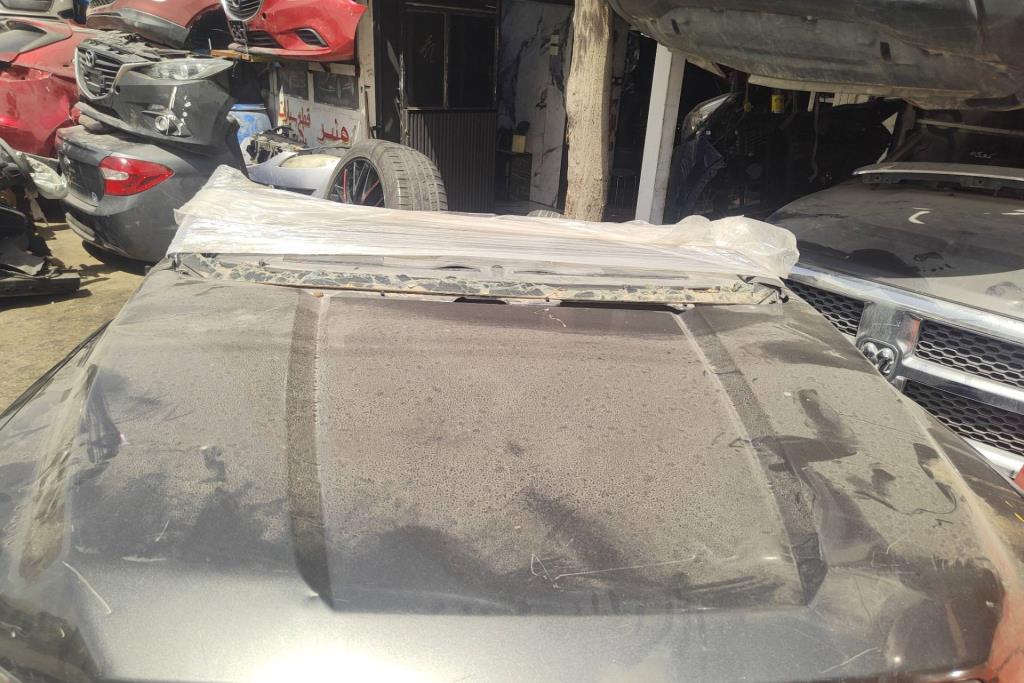 Body  Hood Ford F-150