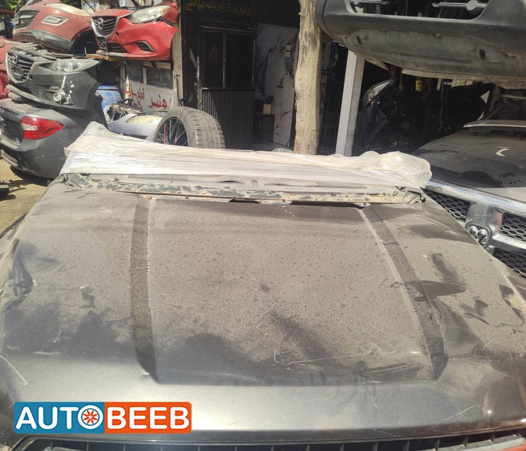 Body  Hood Ford F-150