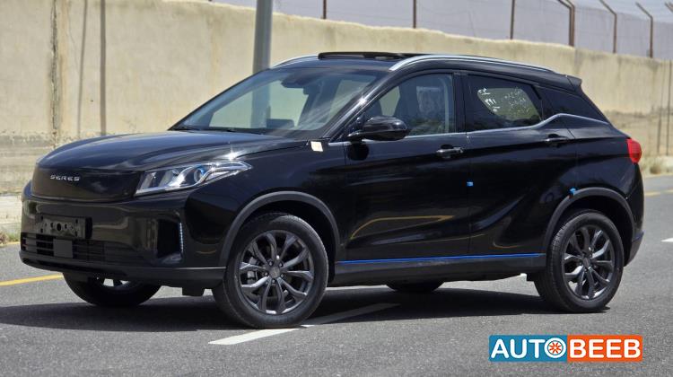 دونج فينج  2024