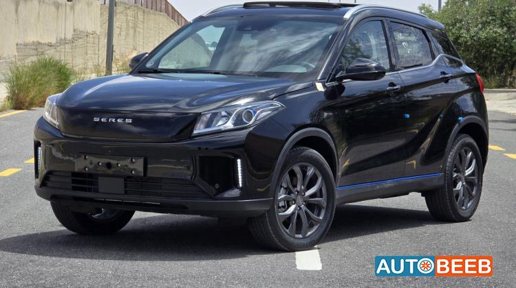 دونج فينج  2024