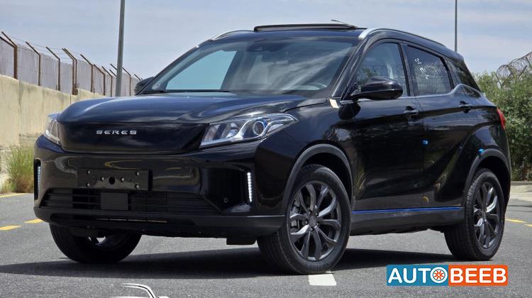 دونج فينج  2024