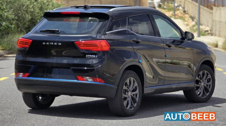 دونج فينج  2024