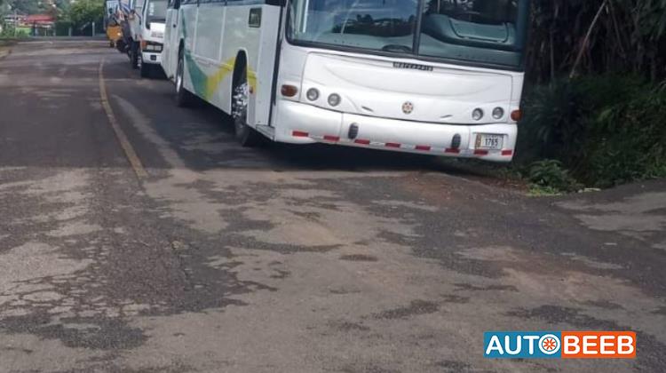 سيتي باص - نقل عام  2008