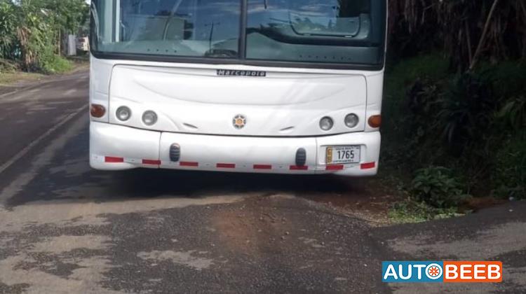 سيتي باص - نقل عام  2008