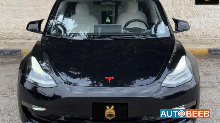 Tesla 3 2023