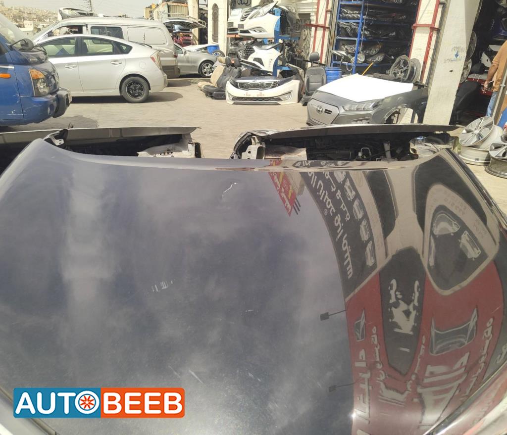 Body  Hood Toyota CHR