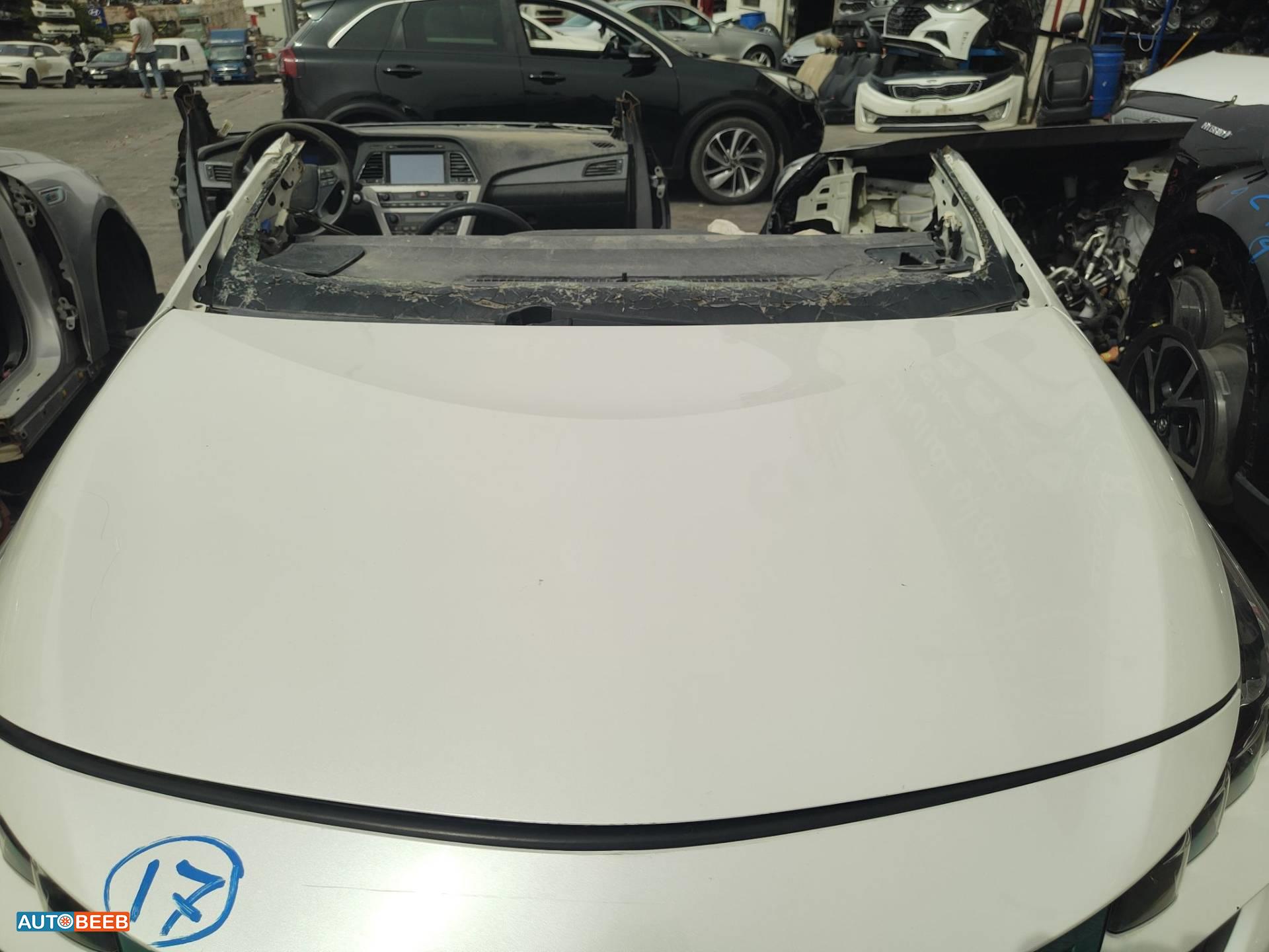 Body  Hood Toyota Prius