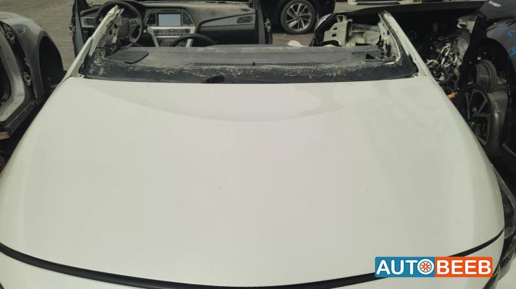 Body  Hood Toyota Prius