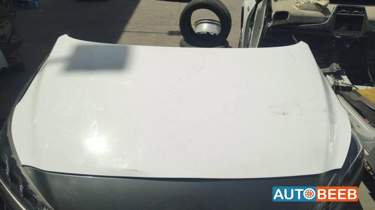 Body  Hood Hyundai Ioniq
