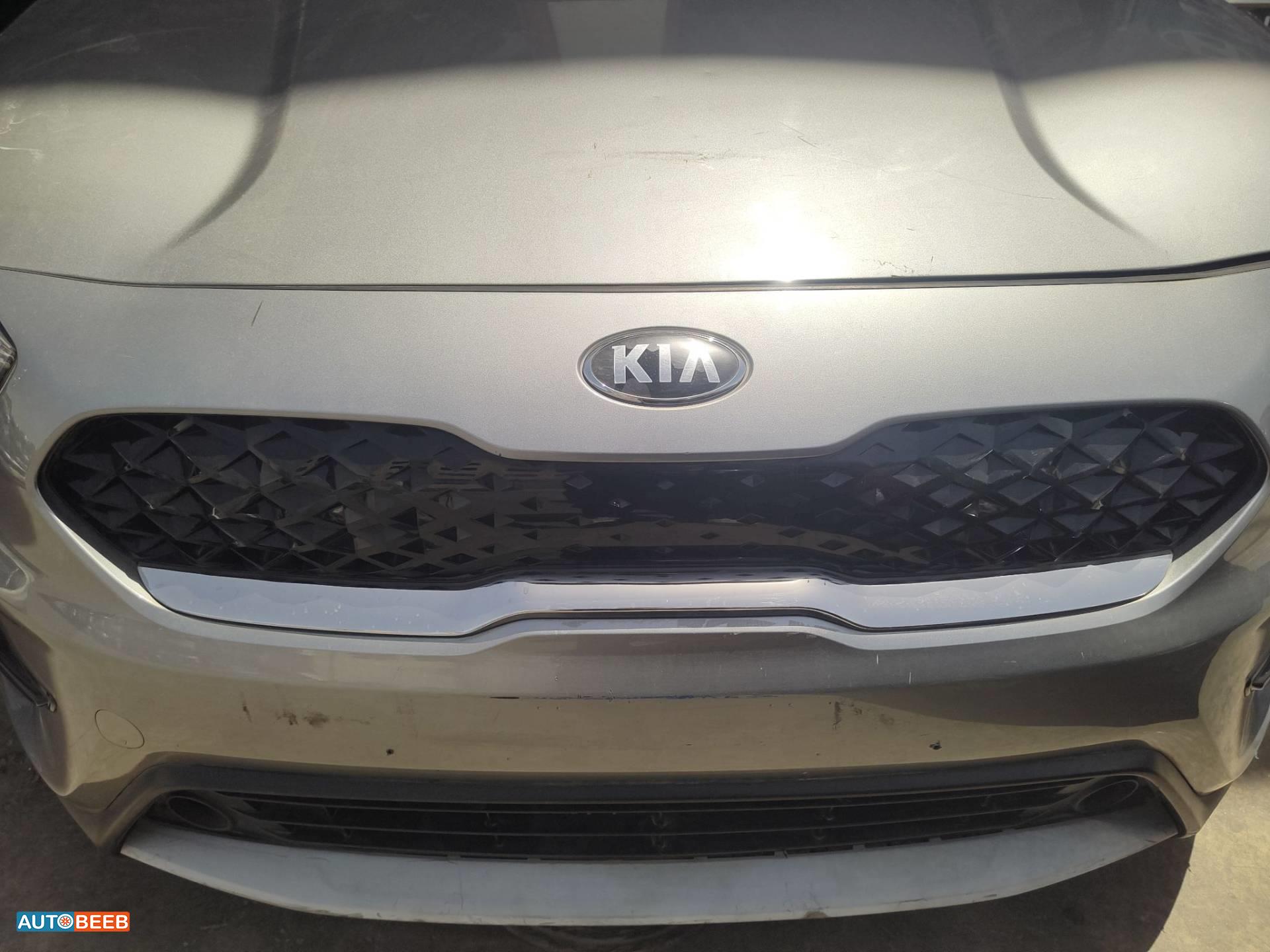 Body  Grilles KIA Niro