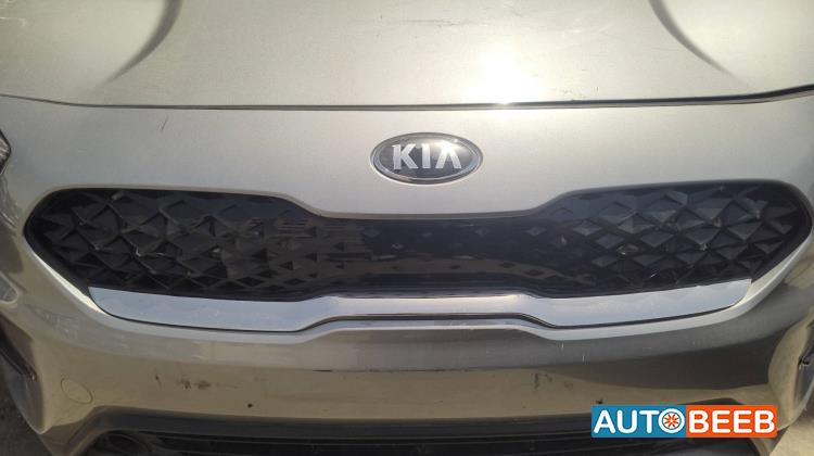 Body  Grilles KIA Niro