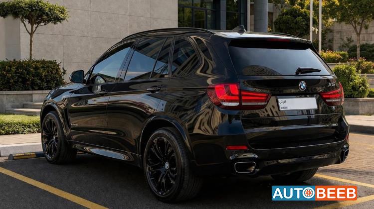 BMW X5 2014