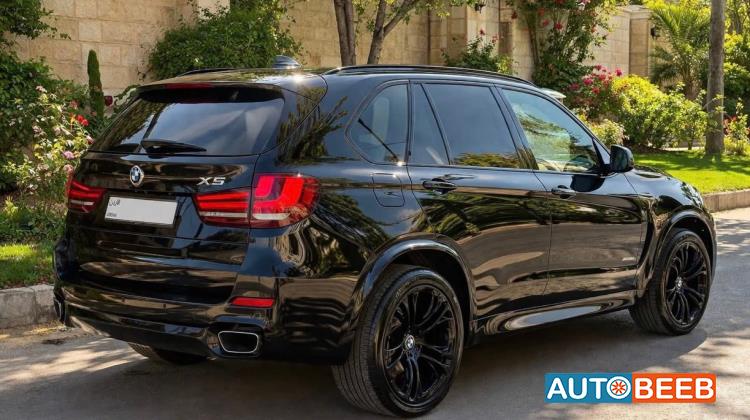 BMW X5 2014