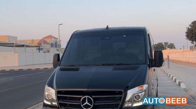 Mercedes Benz  2017