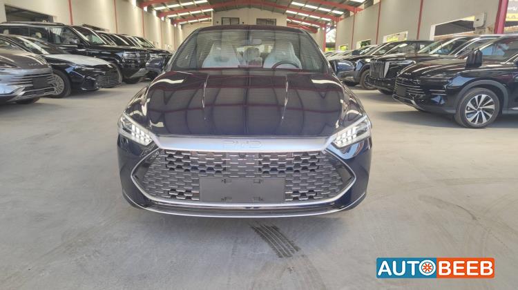 BYD Qin 2026