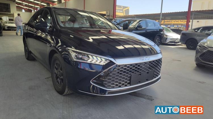 BYD Qin 2026