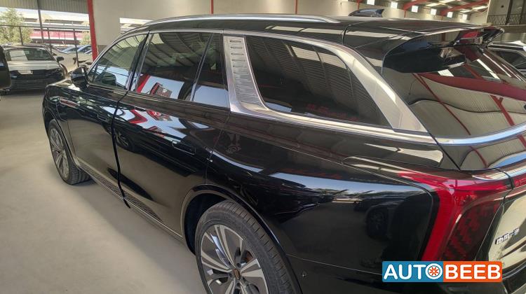 Hongqi E-HS9 2021