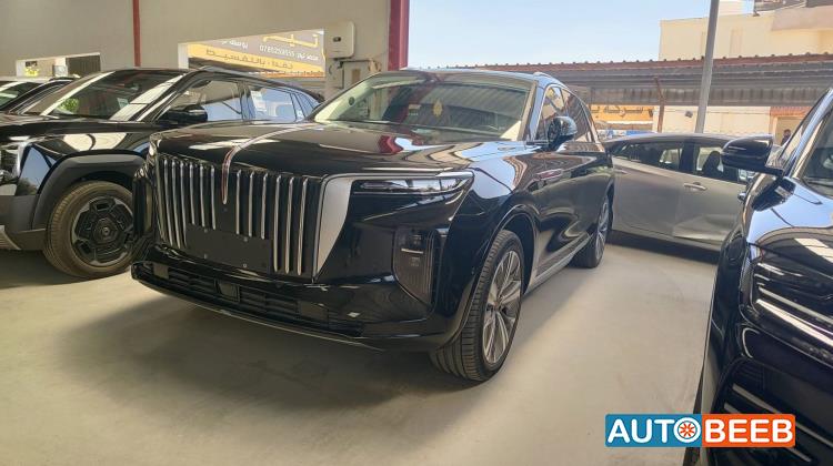 Hongqi E-HS9 2021