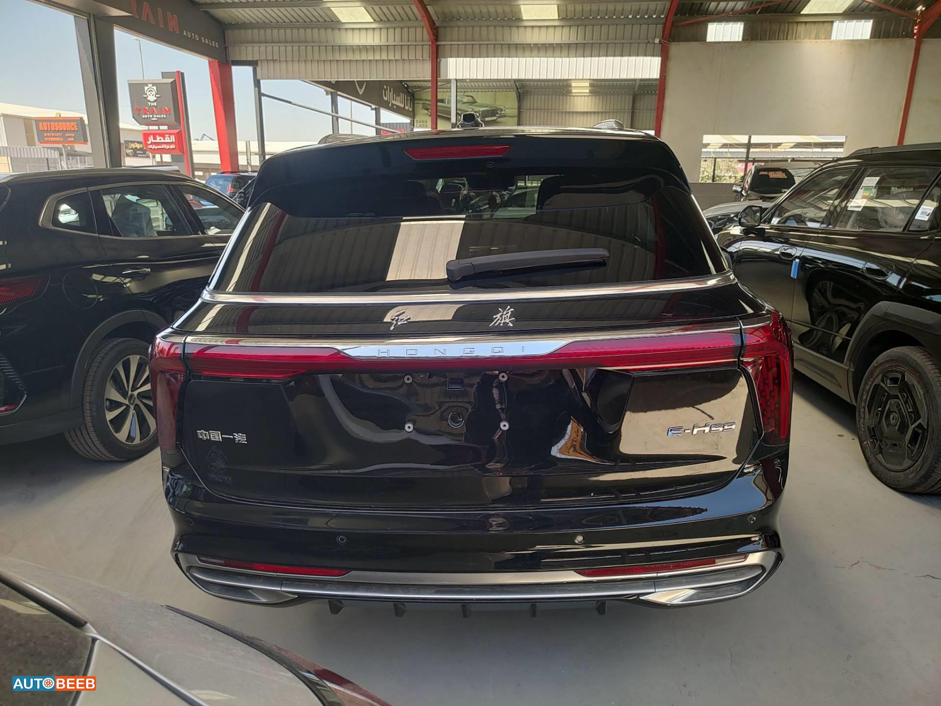 Hongqi E-HS9 2021