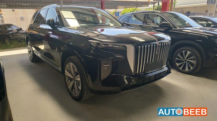 Hongqi E-HS9 2021