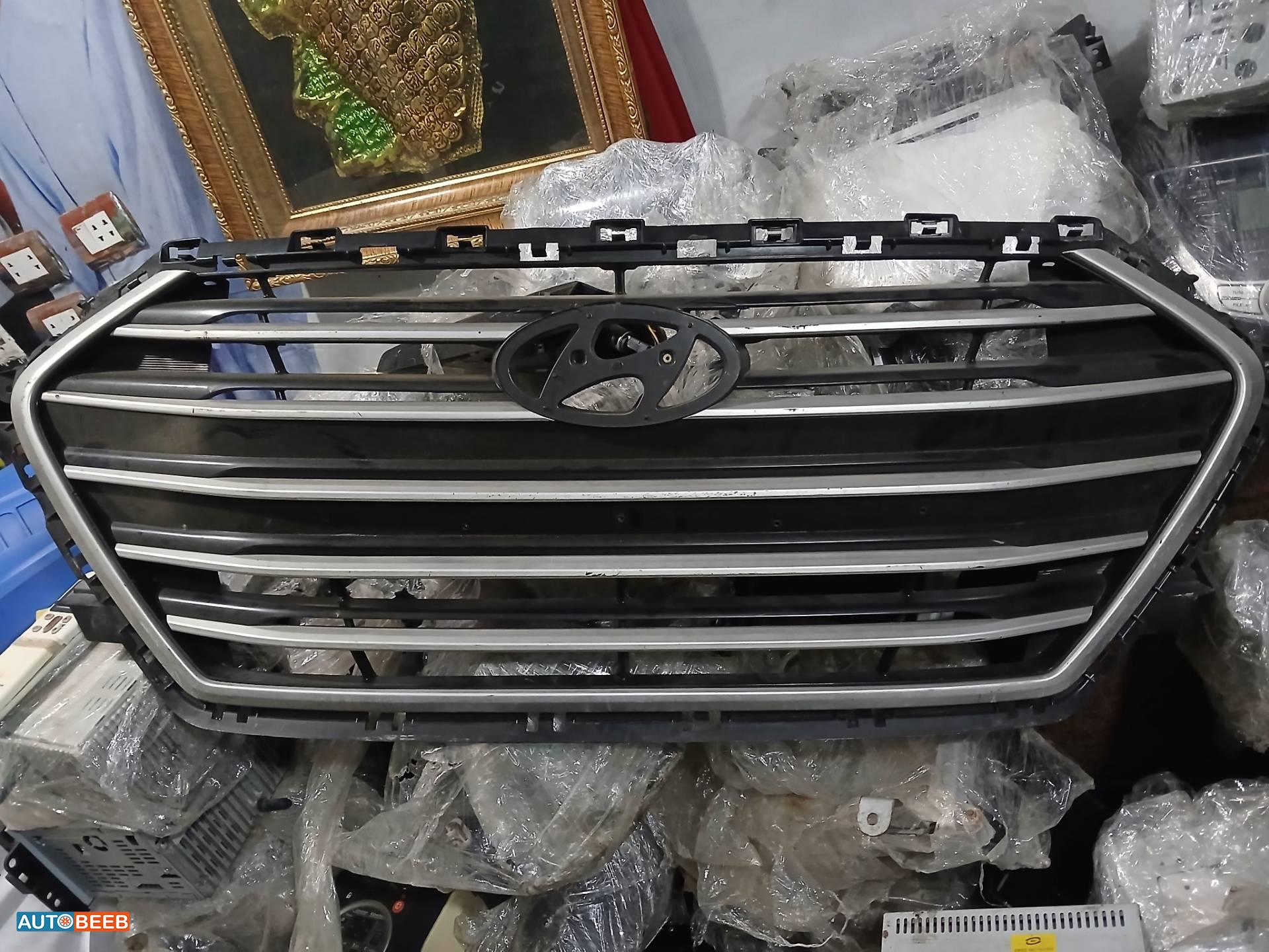 Body  Grilles Hyundai Elantra
