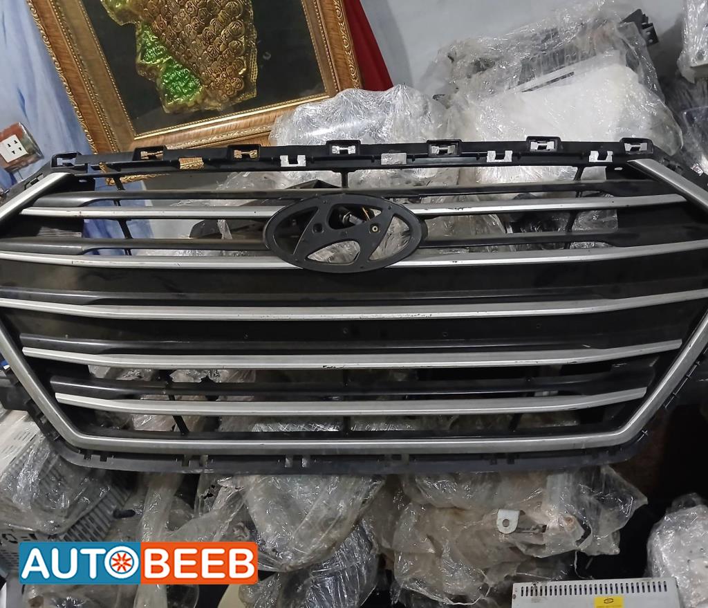 Body  Grilles Hyundai Elantra