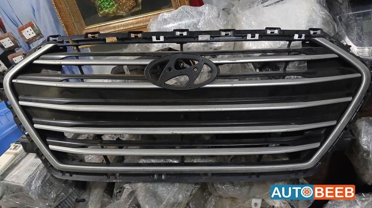 Body  Grilles Hyundai Elantra
