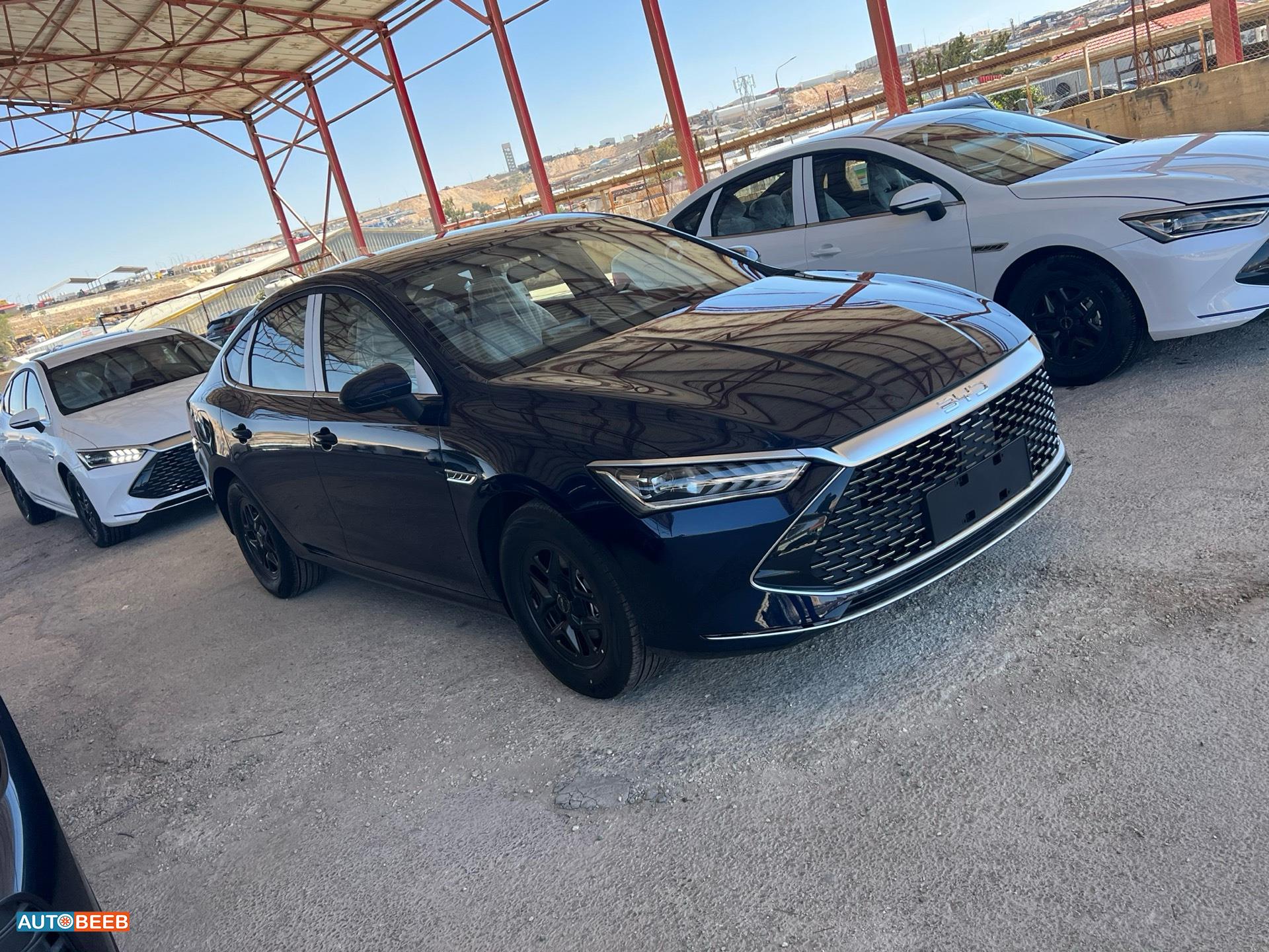BYD Qin 2026