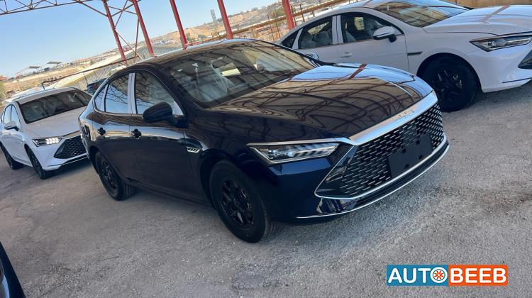 BYD Qin 2026