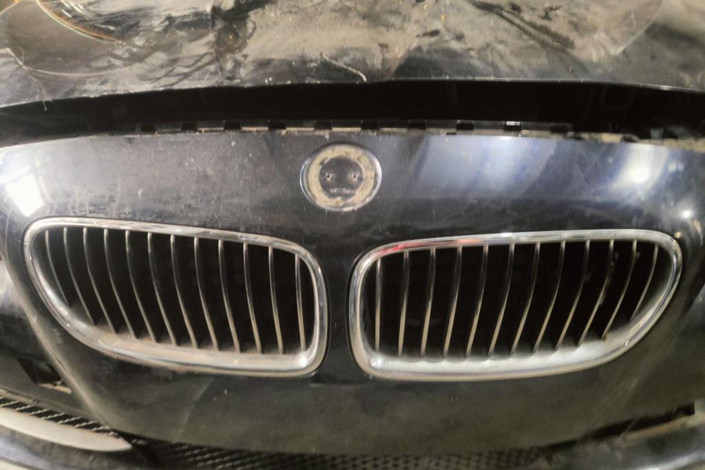 Body  Grilles BMW 530