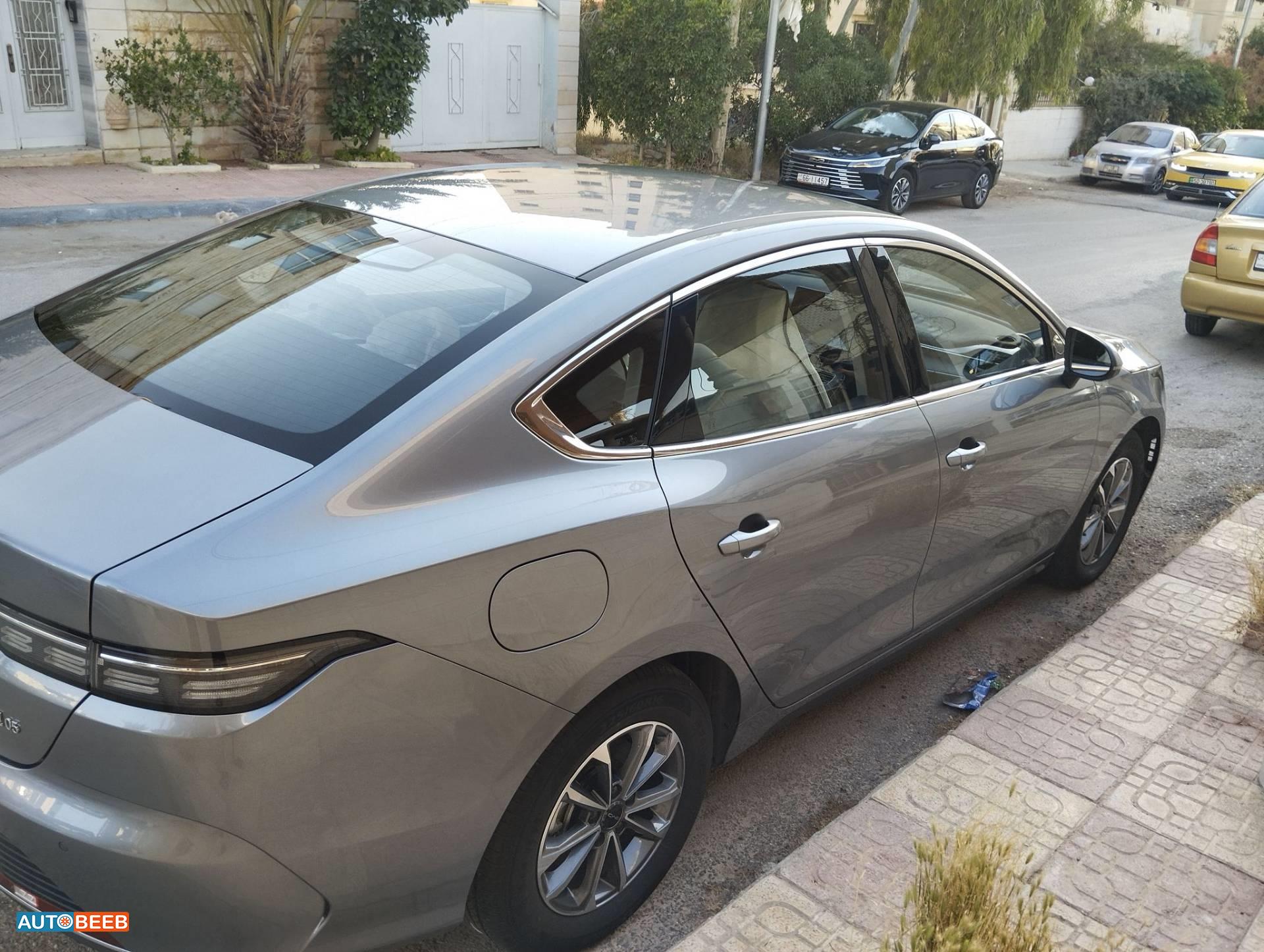 BYD Destroyer 05 2025
