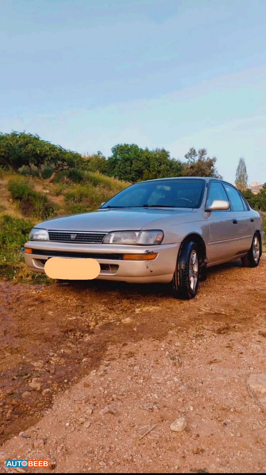 Toyota Corolla 1995