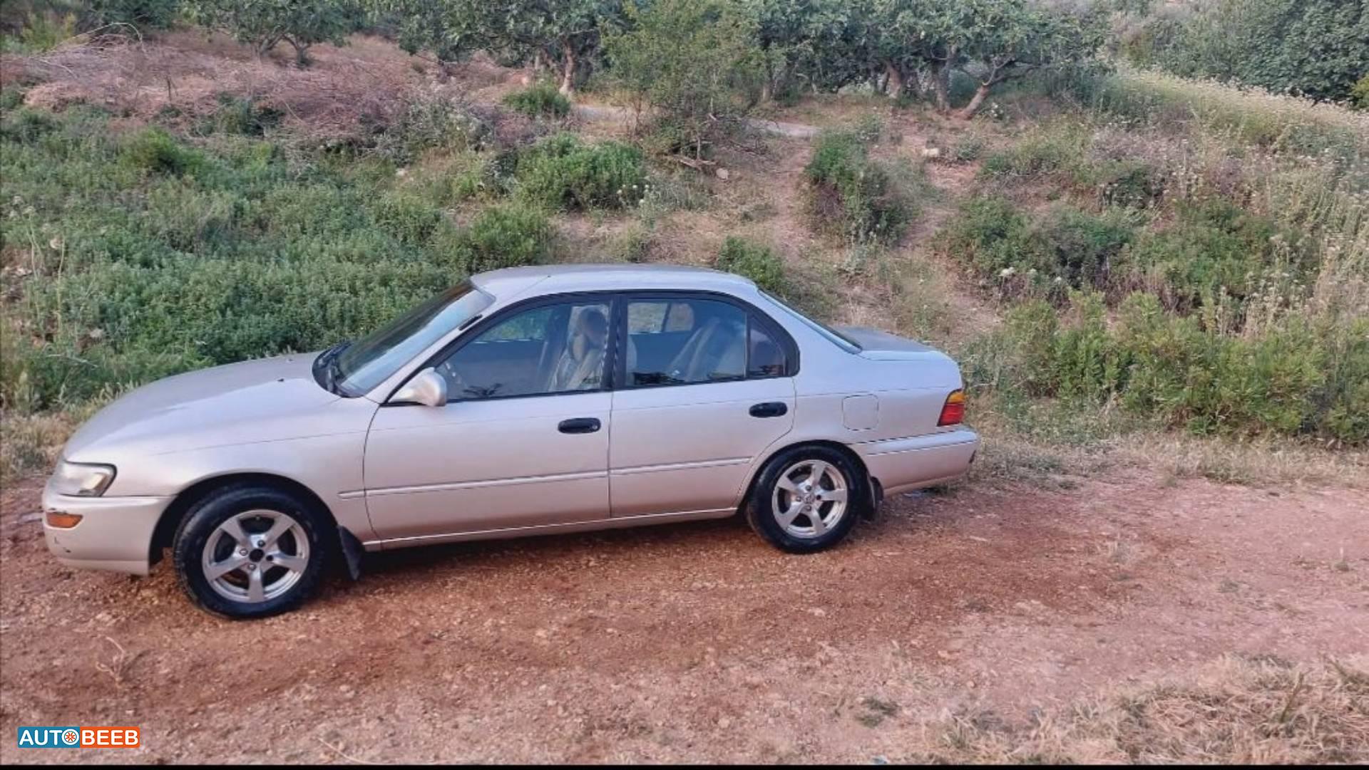 Toyota Corolla 1995