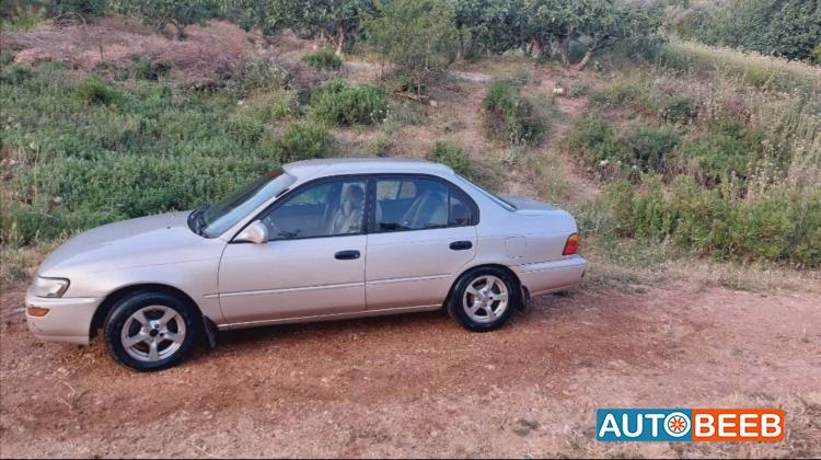 Toyota Corolla 1995