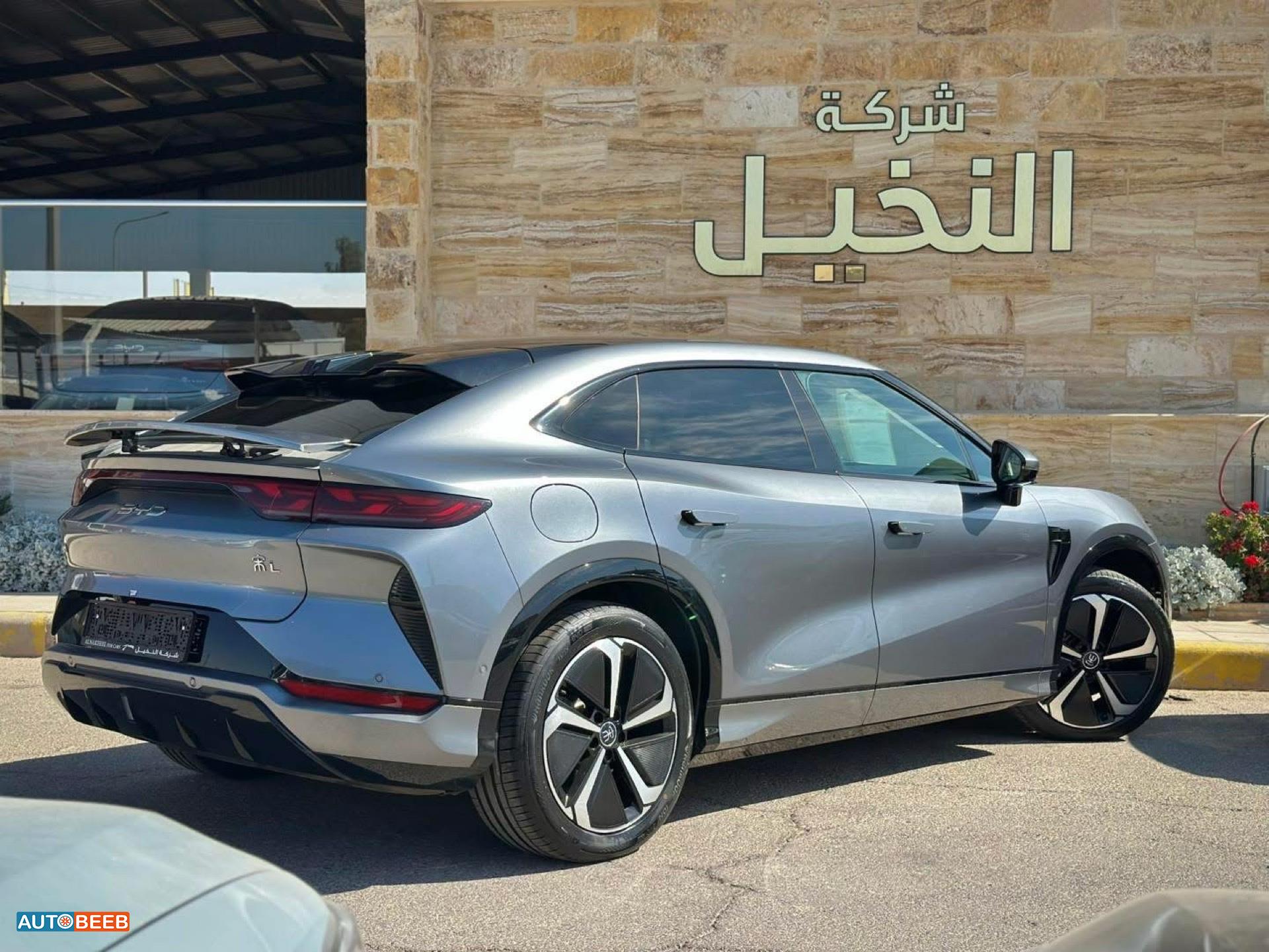 بي واي دي سونج ل 2023