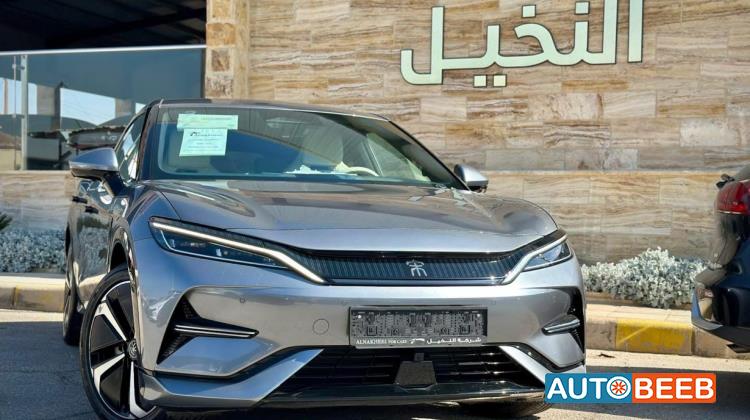 بي واي دي سونج ل 2023